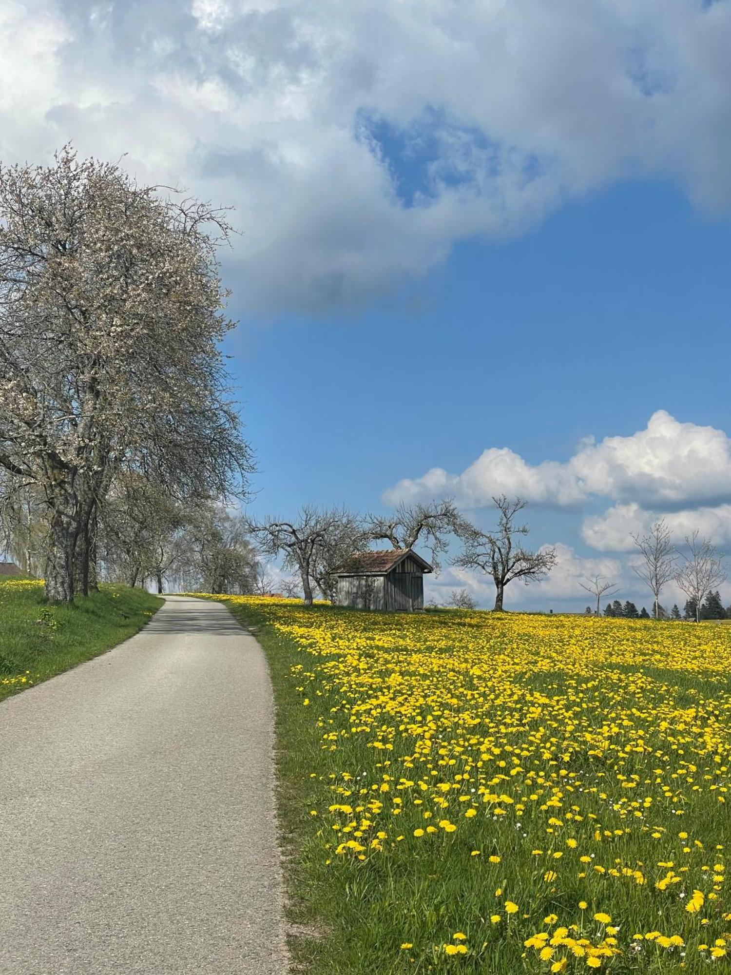 Hotel Krone Igelsberg Freudenstadt Bagian luar foto